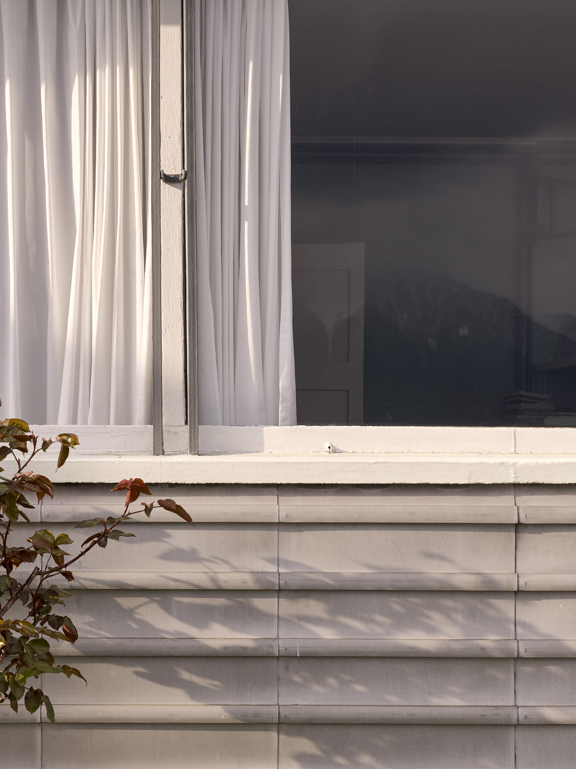 Ahp0038 alpa 113194 C